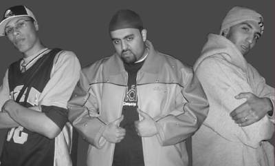 mafia-c